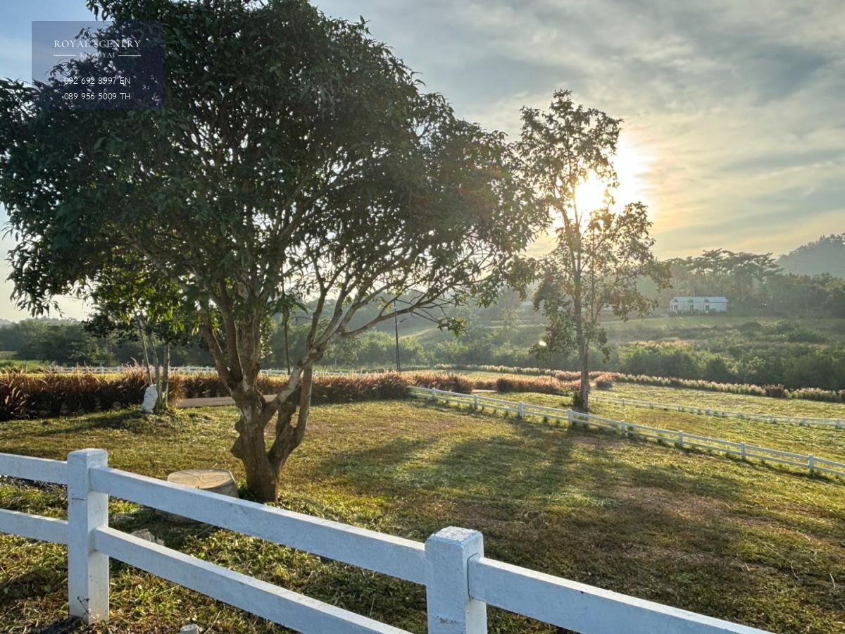 ขายที่ดินวิวภูเขา บรรยากาศดี GRAND Hill เขาใหญ่ วังกะทะ ปากช่อง นครราชสีมา ราคาพิเศษ